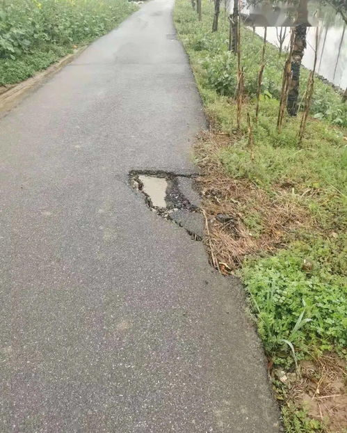 學史力行辦實事，光明村用數據服務暖民心